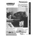 PANASONIC PVV4620 Owners Manual