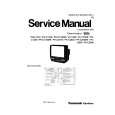 PANASONIC PVC1330W Owners Manual