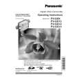 PANASONIC PVGS14 Owners Manual