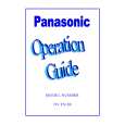 PANASONIC NVFS100 Owners Manual