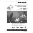 PANASONIC PVGS65 Owners Manual