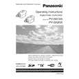 PANASONIC PVGS120 Owners Manual