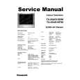 PANASONIC TX-25AS10D/M Service Manual
