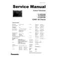 PANASONIC TX29PX20F Service Manual
