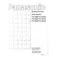PANASONIC TX33GF15 Owners Manual