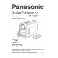 PANASONIC PVDV710 Owners Manual