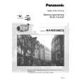PANASONIC NVMX500EG Owners Manual