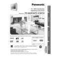 PANASONIC PV20DF25 Owners Manual