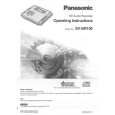 PANASONIC SVSR100 Owners Manual