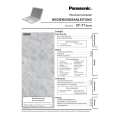 PANASONIC CFT1 Owners Manual