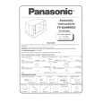 PANASONIC TYS34WX50 Owners Manual