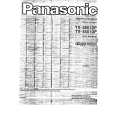PANASONIC TX-28X1DP Owners Manual