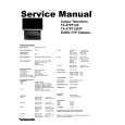 PANASONIC TX-47PT10P Service Manual