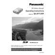 PANASONIC SVPT1 Owners Manual