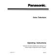 PANASONIC CTP31XF30 Owners Manual