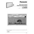 PANASONIC TH42PW3 Owners Manual